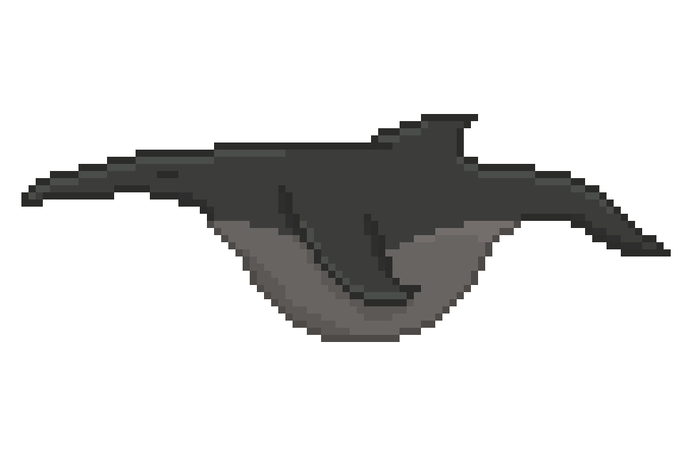 Aardvark